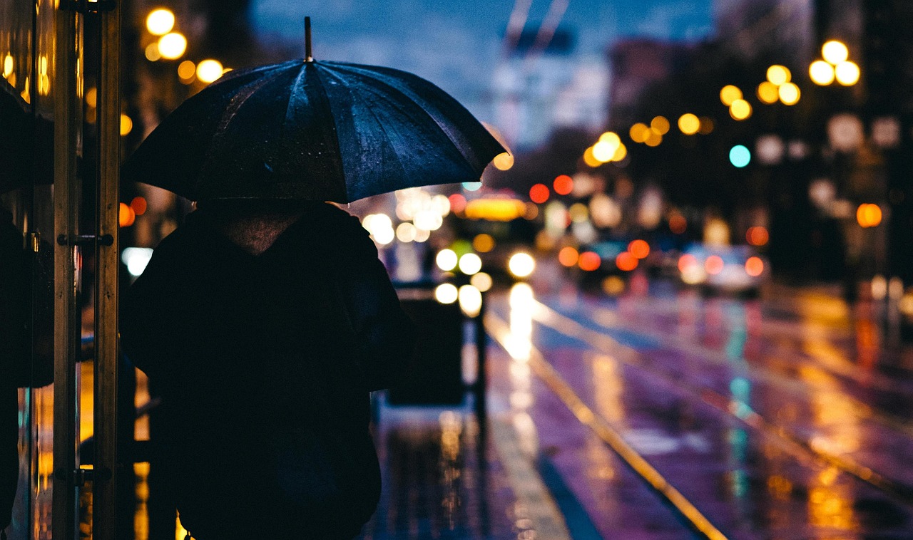 adult, nature, blur, bokeh, city, evening, light, man, outdoors, person, rain, reflection, road, street, umbrella, wet, raining